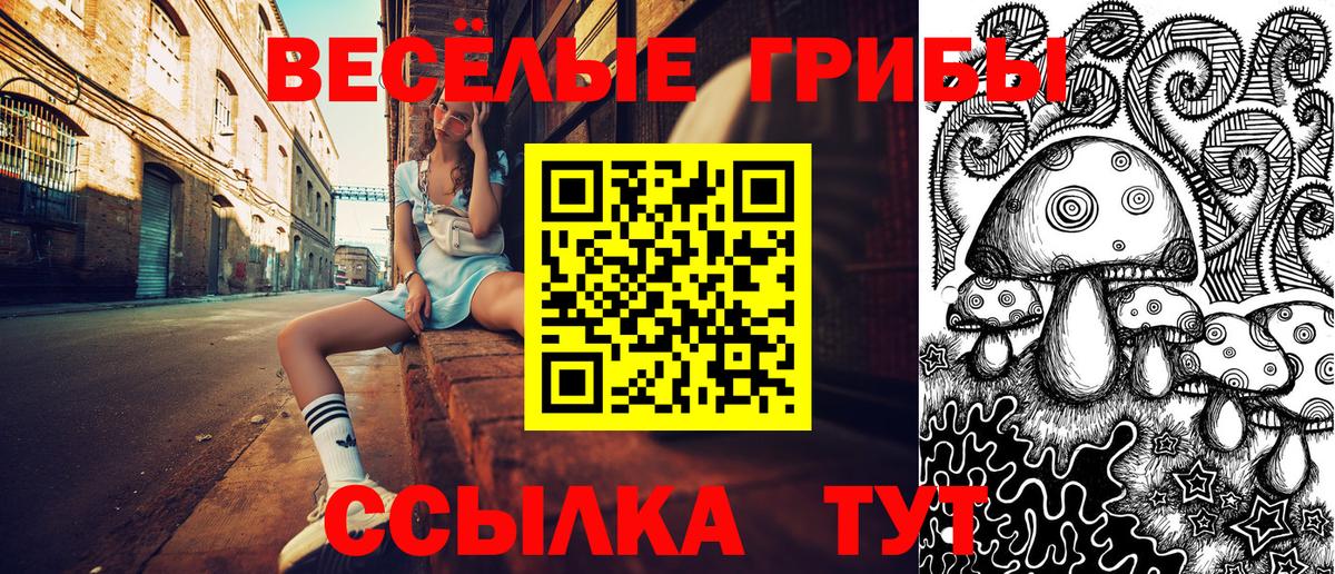 Знаменск  Галлюциногенные грибы мицелий  Вход с VPN 